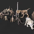 Various Dinosaur Skeleton Models With Different Prehistoric Species Displayed 3d model