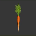 Healthy Fresh Orange Carrot With Green Tops Isolated On Grey Background