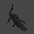 Realistic Crocodile 3D Model With Detailed Scales And Open Mouth