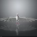 White Dove With Spread Wings Standing On Black Reflective Surface Against Gray Gradient Background 3d model