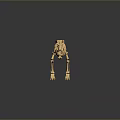 Detailed Dinosaur Skeleton Standing On Gray Gradient Background With Reflection Below