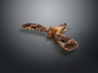 Garden Landscape Design With Lush Greenery And Natural Stone Pathways 3d model