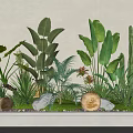 Garden Decorative Display With White Rectangular Planter Green Plants Large Leaves Cactus Pebbles And Moss
