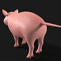 Cute Cartoon Pink Pig 3D Model With Big Ears And Blue Eyes On Black Background