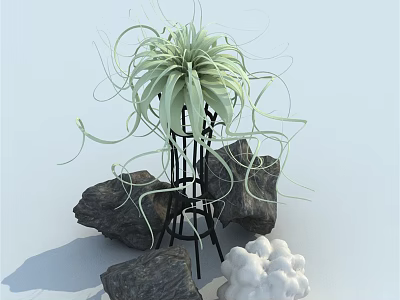 Long Trailing Leaves Green Plant On Black Metal Stand With Gray Stones White Cloud Objects 3d model