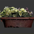 Vibrant Yellow and Purple Flowers in Red Pot with Lush Green Leaves