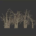 Scenic Landscape View Of Group Of Dry Leafless Trees On Gray Background