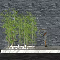 Bamboo Plants with Dark Stone Wall Background White Marble Base and Decorative Twisted Sculpture