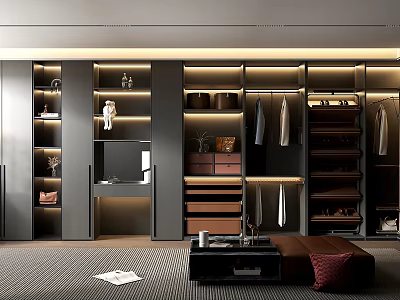 Modern Walk In Closet With Built In Cabinets And Lighting 3d model