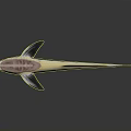 Pink Head Aquatic Fish With Black White Striped Body And Streamlined Shape