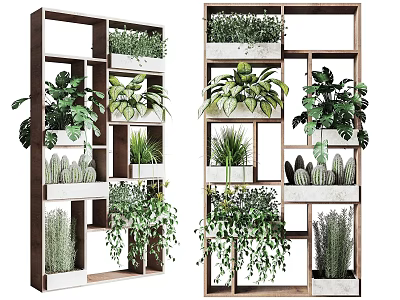 Indoor Vertical Garden Decor With Multi Tiered Wooden Shelves And Green Plants 3d model