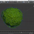 Spherical Green Bush With Lush Leafy Foliage In Round Shape Design