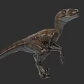 Realistic 3D Reptile Dinosaur With Brown White Patterns In Running Pose