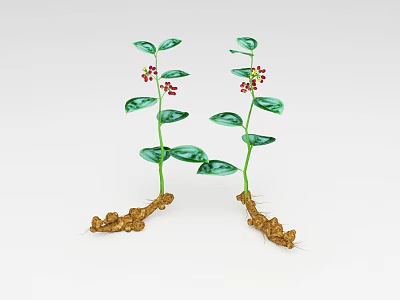 Two Green Leaf Plants With Small Red Fruits And Brown Roots On White Background 3d model