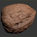 Single Fresh Brown Walnut With Natural Textured Shell On Dark Surface