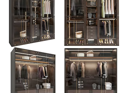 Modern Luxury Wardrobe Interior With Glass Doors Hanging Rods Drawers And Storage Solutions 3d model