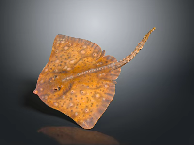 Brown Stingray With Yellow Spots And Long Tail On Dark Background 3d model