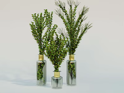 Transparent Glass Vases With Golden Tops Holding Fresh Green Foliage For Home Decor 3d model