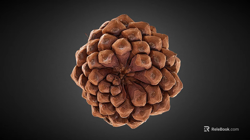Detailed Pine Cone Close Up View With Brown Scales On Dark Background 3d model 