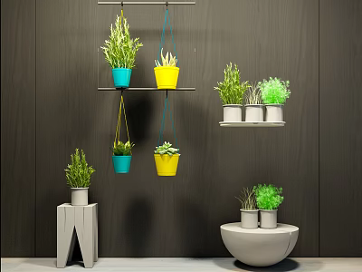 Hanging Basket Plants With Blue Yellow Planters For Indoor Green Decoration 3d model