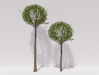 modern shrub landscape tree hibiscus shrub ball plant 3d model