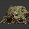 Natural Wooden Tree Stump Decor With Stone Base And Root Details