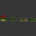 Various Types of Plants Including Red Flowers Green Shrubs Grass Tufts And Moss Mats