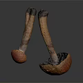 Orange Textured Mushrooms With Spotted Caps And Stems On Dark Background