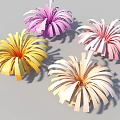 Four Colorful Paper Flowers In Different Colors Yellow Pink Purple Beige With Radial 3D Design