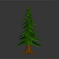 Natural Evergreen Pine Tree With Green Foliage And Brown Trunk Base