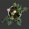Potted Plant With Green Leaves And Pink Flowers In Woven Pattern Pot