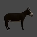 Realistic Brown Donkey 3D Model Standing On Gray Background With Shadow 3d model
