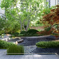 Residential Landscape With Trees Red Green Foliage Small Pond Stones And Grass
