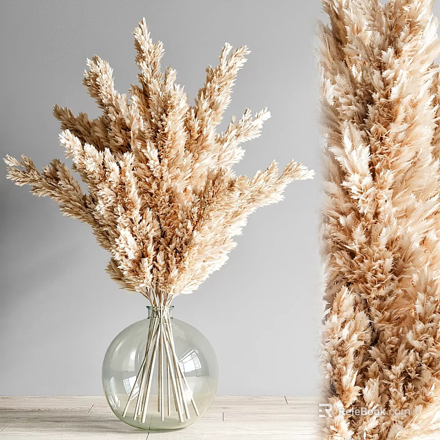 Garden Decor Accents Dried Pampas Grass Bouquet In Clear Glass Vase With Natural Arrangement 3d model 