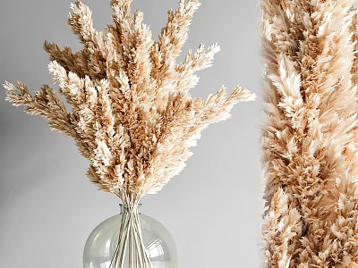 Garden Decor Accents Dried Pampas Grass Bouquet In Clear Glass Vase With Natural Arrangement 3d model