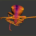 3D Rendered Insect Model With Red Orange Color Shiny Surface And Dark Background