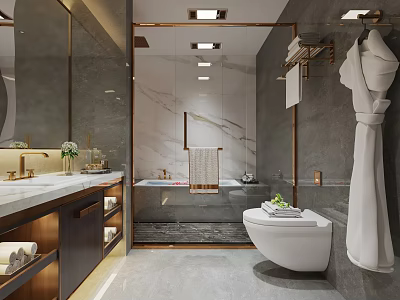 Modern Bathroom Interior Design With Marble Walls Bathtub Vanity Toilet And Hanging Robe 3d model