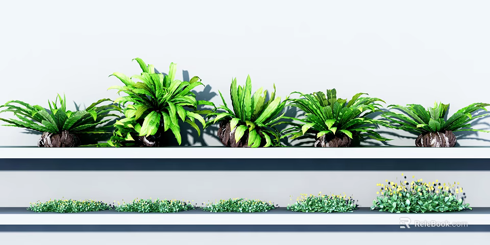 Lush Green Potted Plants Arranged On White Shelf With Layered Foliage 3d model 