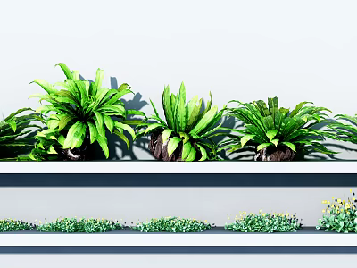 Lush Green Potted Plants Arranged On White Shelf With Layered Foliage 3d model