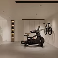 Modern Entertainment Room Interior With Treadmill Wall Mounted Bicycle And Cabinets