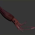 Pink Squid Marine Creature With Long Tentacles And Detailed Eyes In 3D Rendering