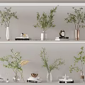 Vases with Green Plants on White Shelves with Decorative Items and Books