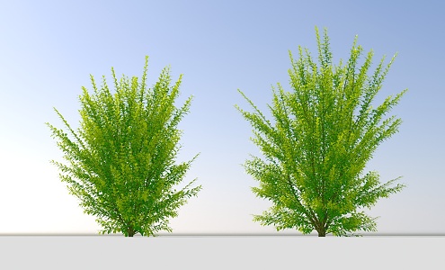 Landscape shrub elm 3d model