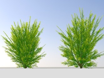 Landscape shrub elm 3d model