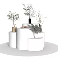 Modern White Tiered Display Shelves With Decorative Green Plants And Vases
