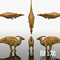 Crown Dinosaur Specimen Display Museum Science Popularization Reptile Biology Prehistoric 3d model