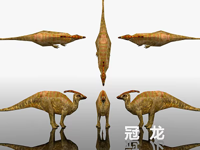 Detailed Multiple Reptile Crested Dinosaur Models In Different Standing Poses And Stances 3d model