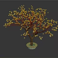 Beautiful Tree With White Flowers Brown Trunk On Red Base Against Dark Background 3d model