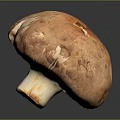Single Large Fresh Brown Textured Mushroom on Black Reflective Surface Against Gray Background 3d model
