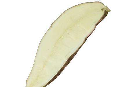 Close Up View Of Sliced Sweet Potato With White Flesh And Brown Skin 3d model